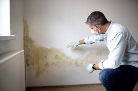 Best Mold Documentation for Insurance Claims  in Reynolds Heights, PA